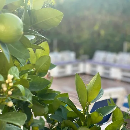 Apartamento 'coll De Rates' Beautiful 1-bed *
